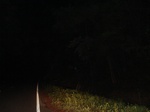 32381p113_s.jpg