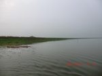 51761CIMG0276.JPG