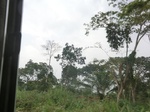 49907CIMG6244.JPG