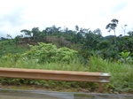 20220P1020075.JPG