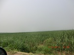 32928CIMG2073.JPG