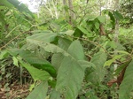 48211CIMG4548.JPG