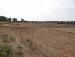 51825Tank ID 1800047 Eidigadasarahalli 4.JPG