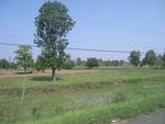34643RIMG0110.JPG