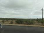 35961DSC02731.JPG