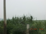 32679CIMG1808.JPG