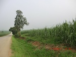 33149CIMG2385.JPG