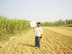 11285gt094-cropland-1.jpg