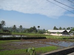 15372IMG_4220.JPG