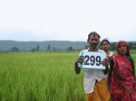 130680299a-irrigated-canal-rice-doublecrop-wheat.gif