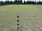 29204BUFF20110413S.JPG