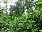 45009CIMG2194.JPG