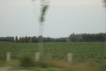 2024-08-05_15-57-47_63EBF51D-5356-411F-9F8D-0D5BFC197C45.jpeg