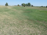 39244MEDF20110818N.JPG