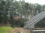 33679IMG_5888.JPG