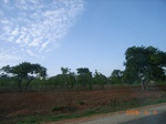 8876nigeria 087.jpg