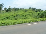 25932P1020351.JPG