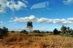 28517P1010529-1.JPG