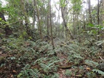 46716DSC02051.JPG