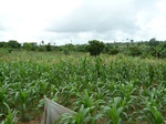 18190P1000025.JPG
