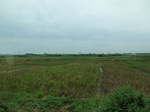 39572CIMG1650.JPG