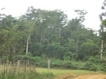 48823CIMG5160.JPG