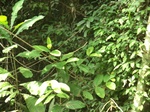 48500CIMG4837.JPG