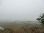 40184CIMG9081.JPG
