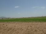 19204P1010050.JPG