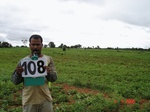 124060108a-rainfed-agriculture-mixedcrop-groundnut-dominant-sorghum-millet.gif