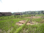 13983IMG_4290.JPG