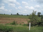 34360IMG_5273.JPG