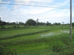 33301IMG_5635.JPG