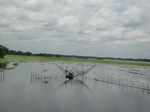 21354DSC00625.JPG