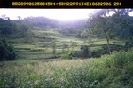 40446ANH1260.JPG