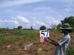 1053557-cropland-sesamum&underpreparation-b.gif