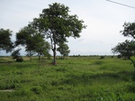14292IMG_4632.JPG
