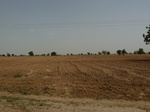 19090P1000935.JPG