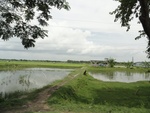 26066DSC00489.JPG