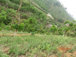 53372CIMG6669.JPG