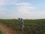 9381gt068a-cropland-rainfed-supplemendal-mixed-crops.gif