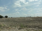 35563DSC02063.JPG