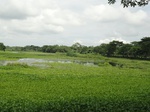 22141DSC00384.JPG