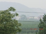 32664CIMG1793.JPG