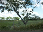 5756100_1350.JPG