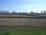 33386RIMG0126.JPG