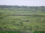 810R0015374_tag.jpg