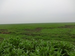 51595CIMG0183-neuclear zone 2.JPG