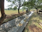 40000CIMG8034.JPG