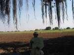 7829gt052b-cropland-irrigation-major-hidkal-dam.jpg